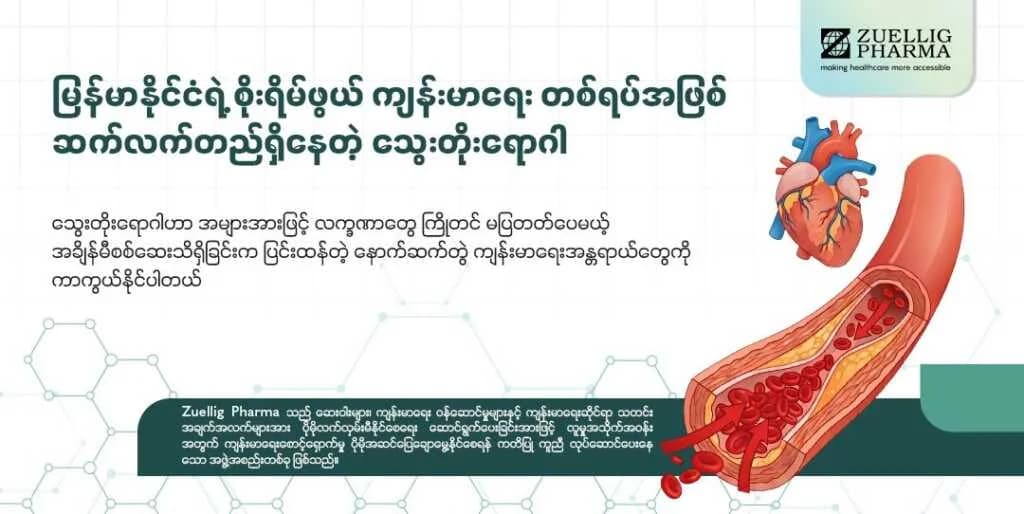 မြန်မာနိုင်ငံရဲ့ စိုးရိမ်ဖွယ် ကျန်းမာရေး တစ်ရပ်အဖြစ် ဆက်လက်တည်ရှိနေတဲ့ သွေးတိုးရောဂါ